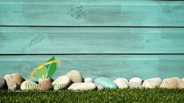 تنسيق حدائق المدينة المنورة