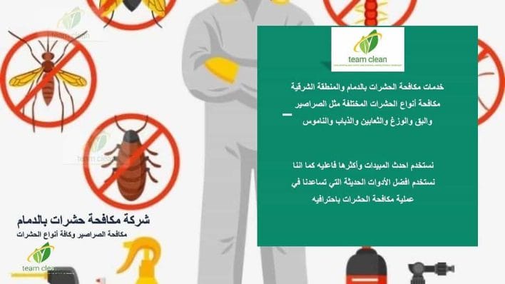 شركة مكافحة حشرات بالدمام | رش مبيدات حشرية لكافة الحشرات شركة مكافحة حشرات بالدمام