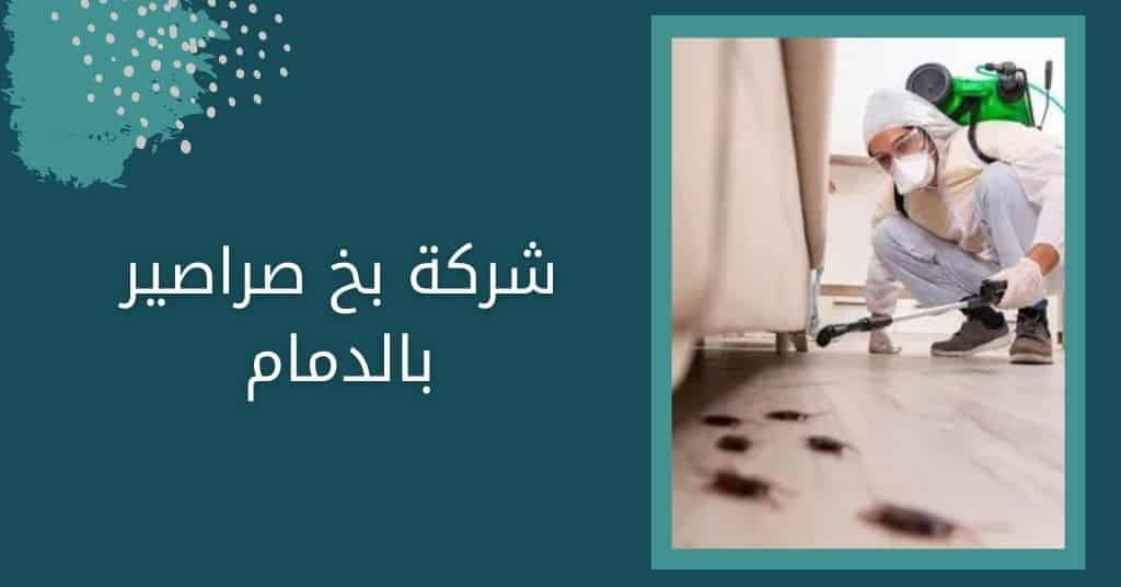 شركة مكافحة حشرات بالدمام | رش مبيدات حشرية لكافة الحشرات بخ صراصير بالدمام