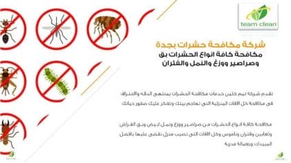 شركة مكافحة حشرات بجدة | شركة رش مبيدات ومكافحة الصراصير وكافة الحشرات شركة مكافحة حشرات بجدة