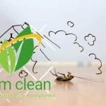 شركة مكافحة حشرات بجدة