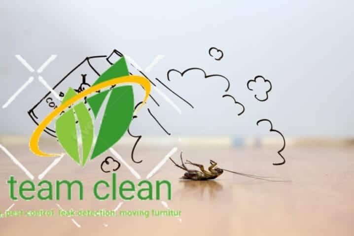 شركة مكافحة حشرات بجدة