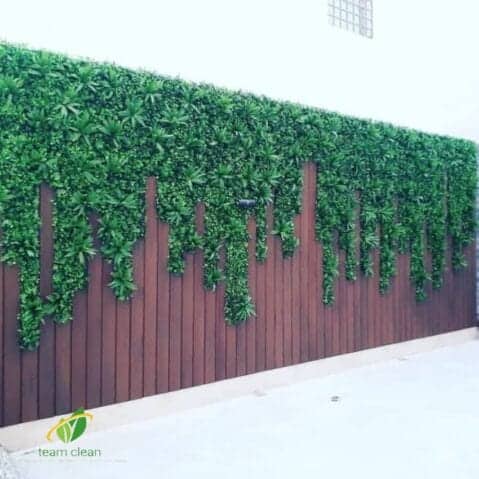 شركة تنسيق حدائق بجدة | زراعة عشب وتكريب نخيل تصميم شلالات ونوافير شركة تنسيق حدائق بجدة