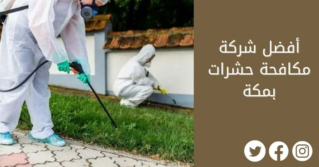 شركة مكافحة حشرات بمكة