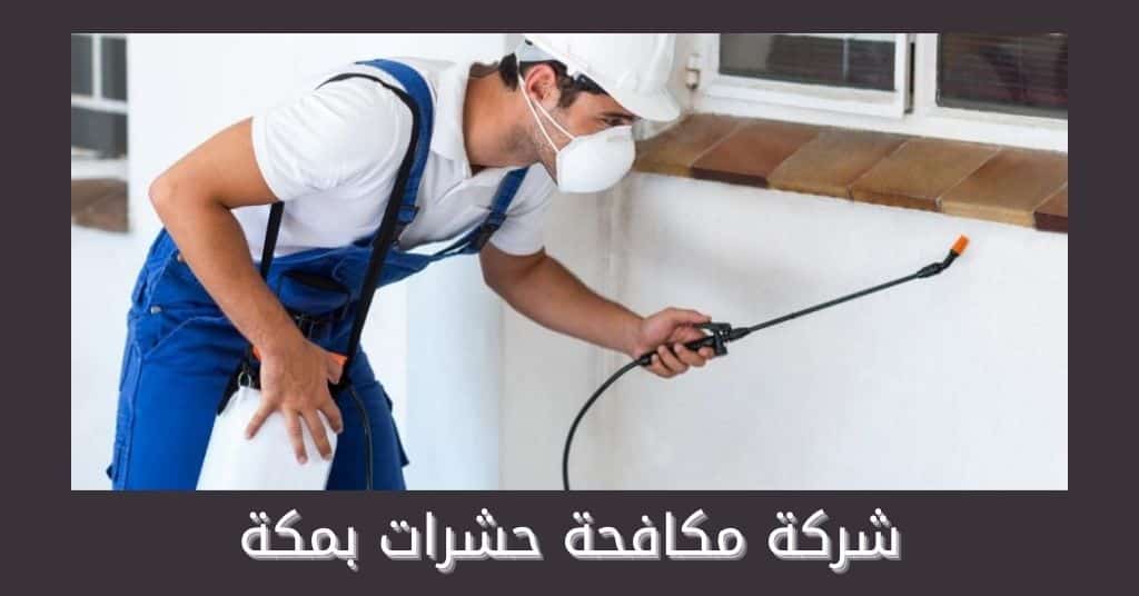 شركة مكافحة حشرات بمكة